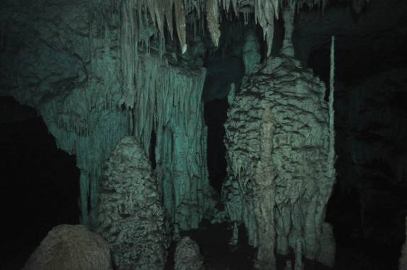 Algumas das belas formações no Gran Cenote, na região de Tulum, no Yucatán, sul do México (foto de Luis Leal)